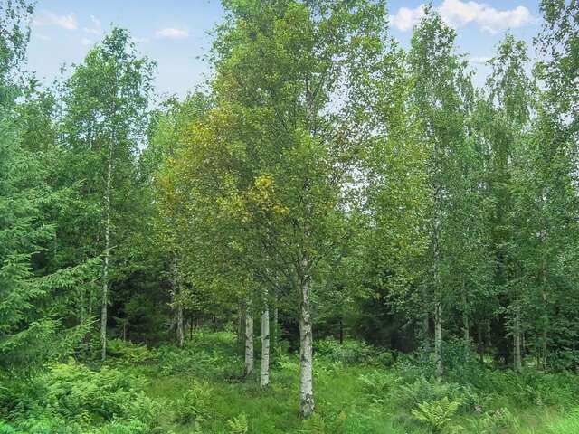 Дома для отпуска Holiday Home Juvan-vuokko Lahdenperä-37